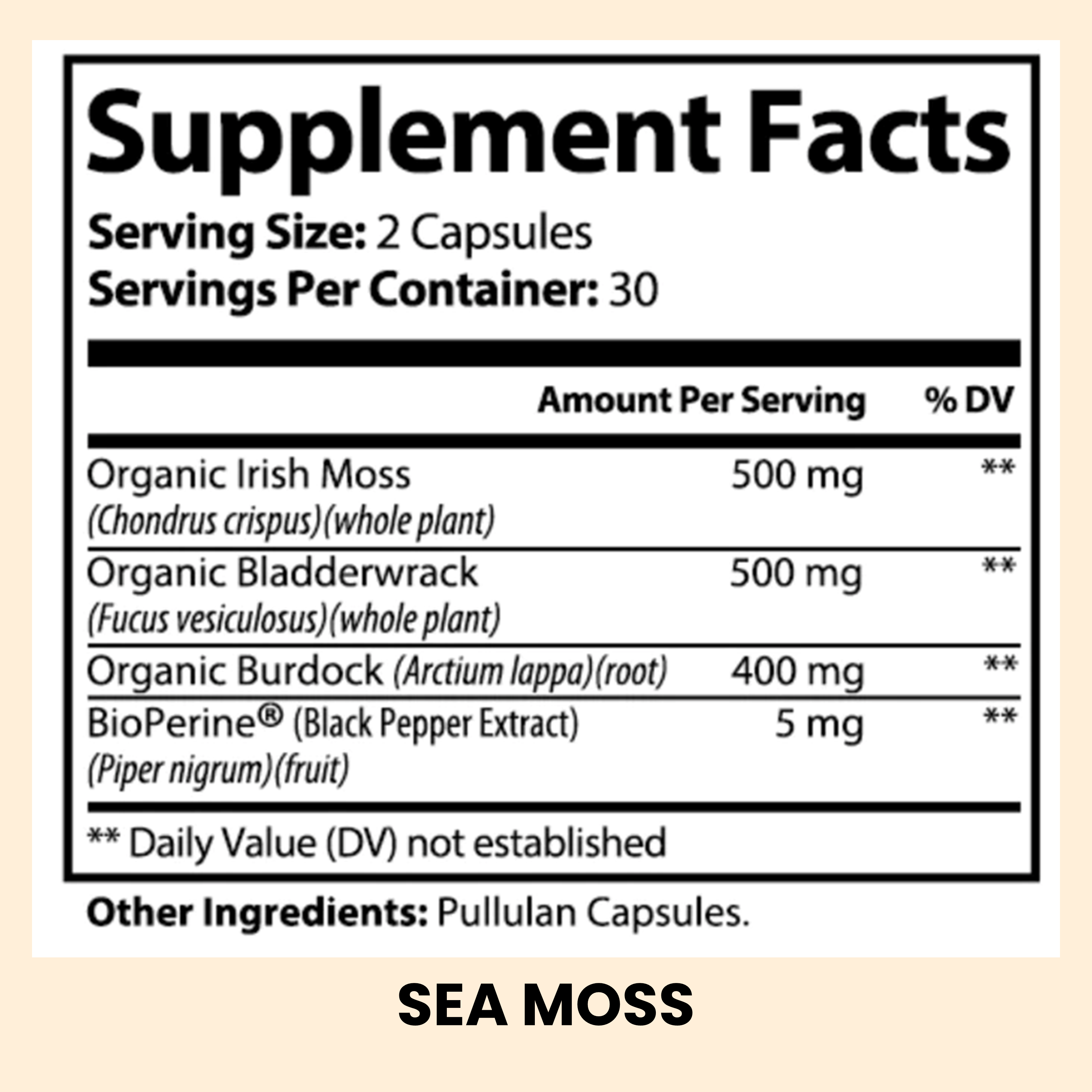 Gut Health Essentials - Black Friday